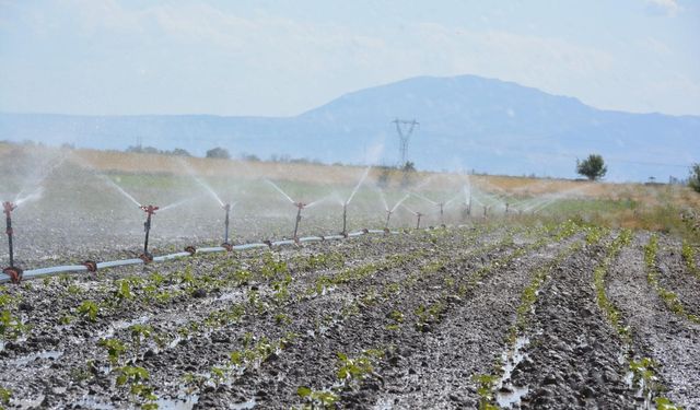 Denizli’de tarımsal sulama ile ülke ekonomisine 10 milyar TL katkı sağlanacak