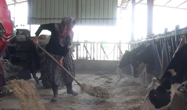 Kadın yetiştirici aldığı tarım destekleriyle aile işletmesini büyüttü