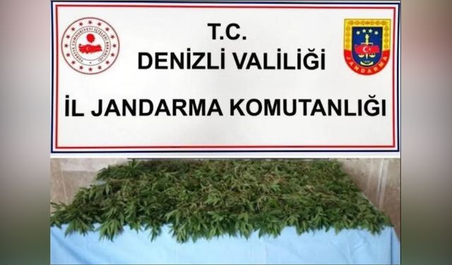 Jandarma 7 ilçede zehir tacirlerine operasyon düzenledi