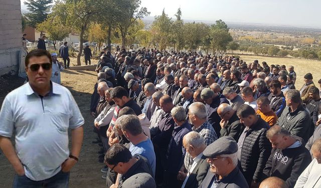 Arı sokan şahıs hayatını kaybetti