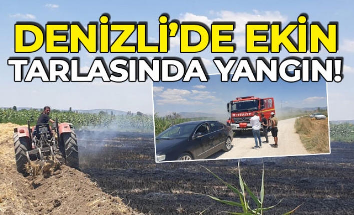 Denizli'de ekin tarlasında yangın!