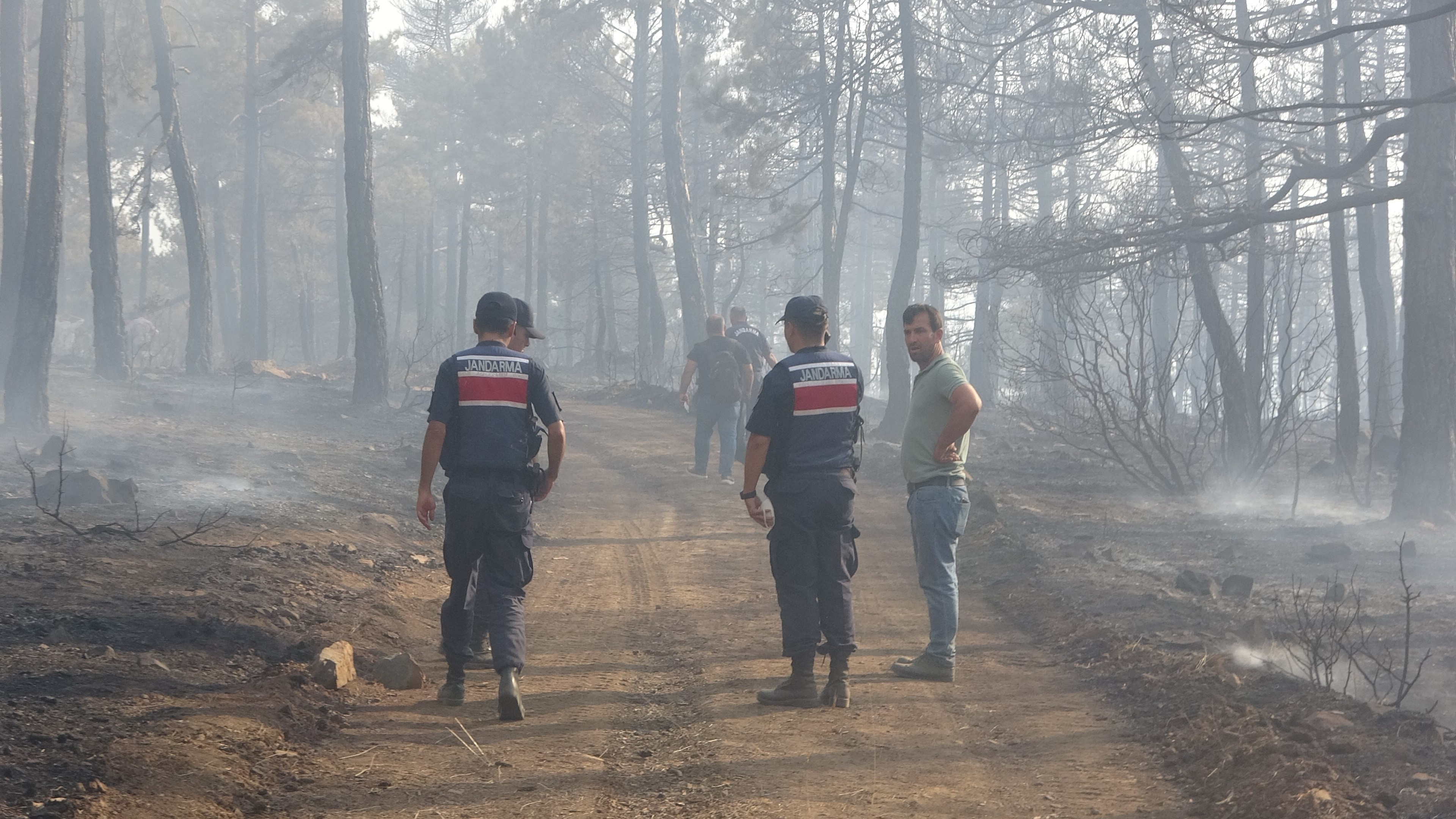 Orman yangınında 20 hektar alan kül oldu